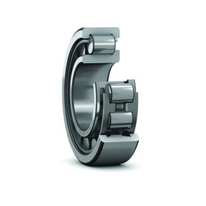 SKF | NU 2205 ECP