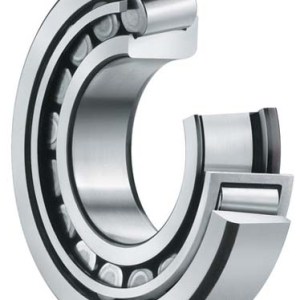 American Roller Bearings | 280TQO783WGEL10 ID 28.000 OD 36.000 W 16