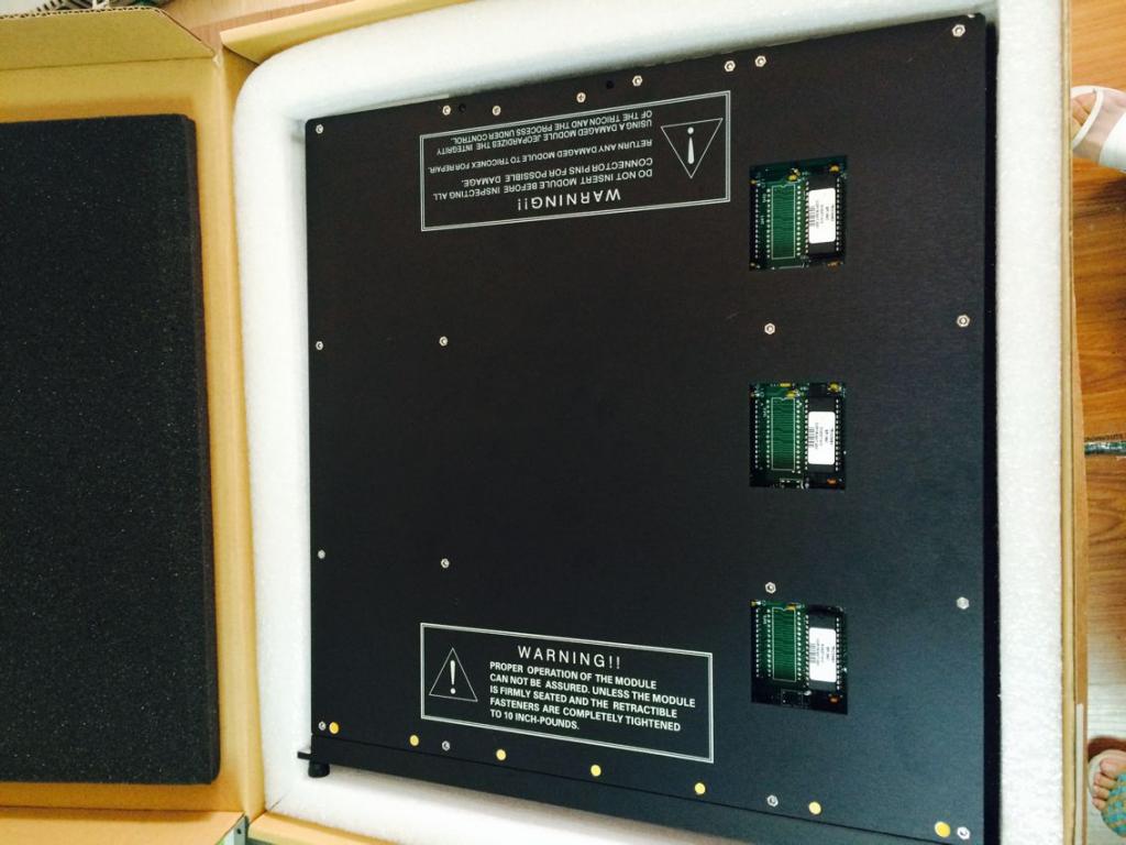 High Reliability TRICONEX 5481 Safety Controller 32 Digital Inputs, 24V DC Voltage, and 1500V Isolation