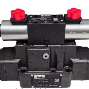 D81VW004C4NJW